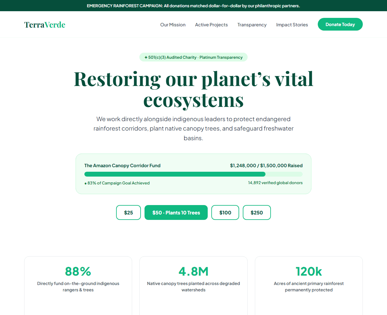 Preview of the non-profit & environmental charity this AI prompt builds