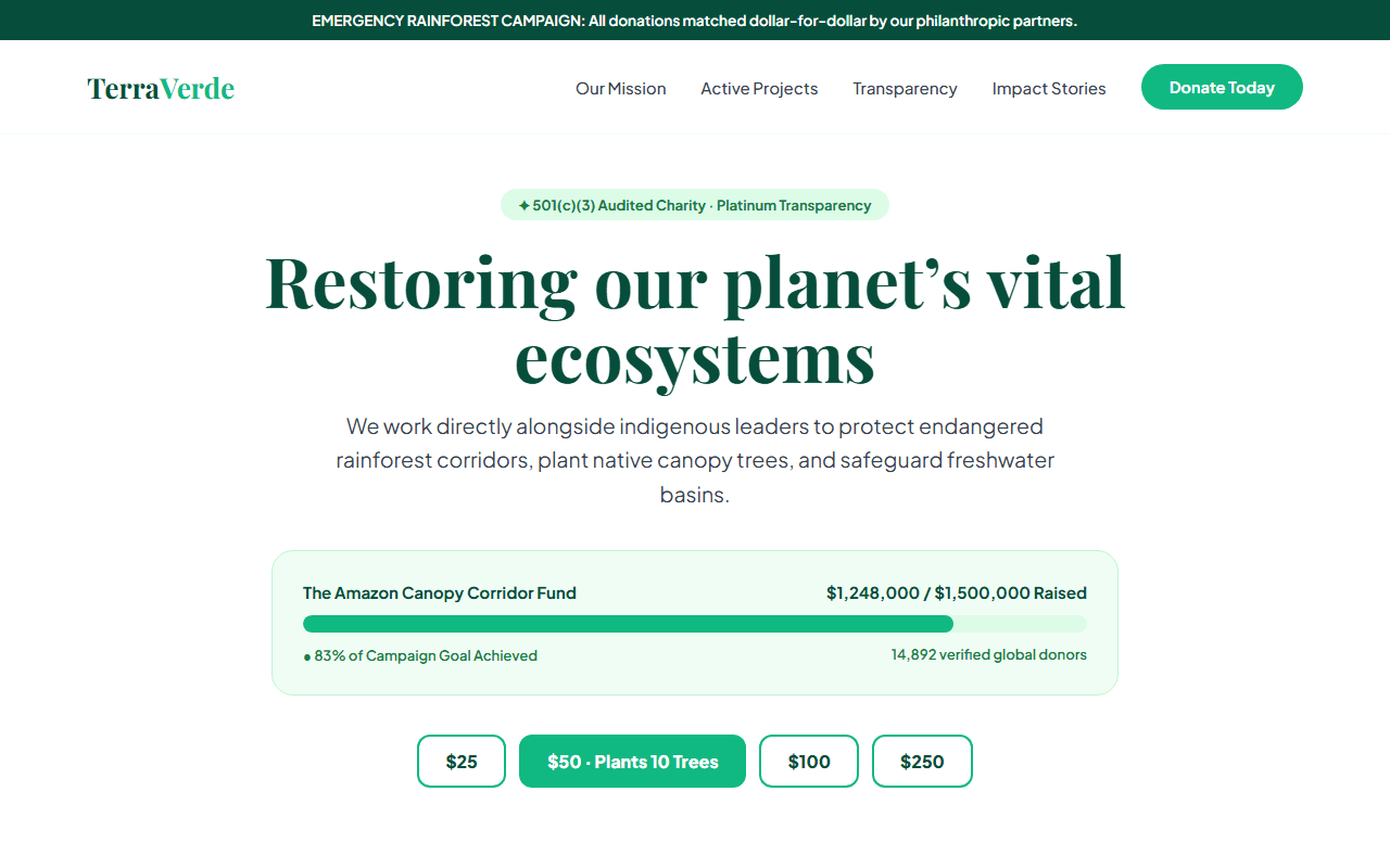 Non-Profit & Environmental Charity built from this AI prompt