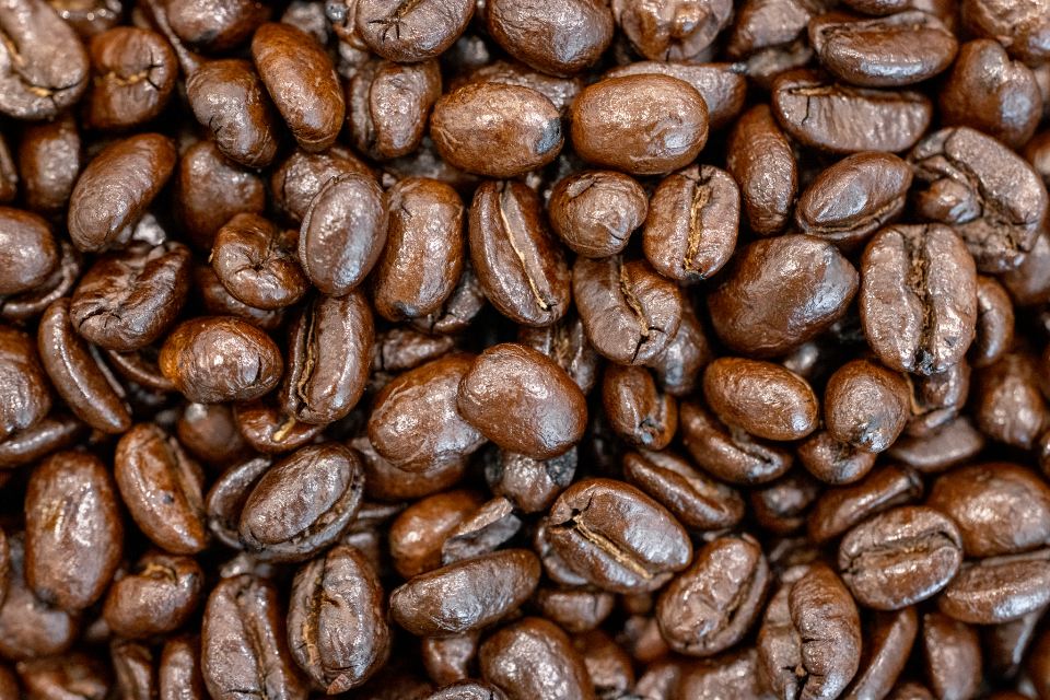 Close-up of glossy dark roasted coffee beans