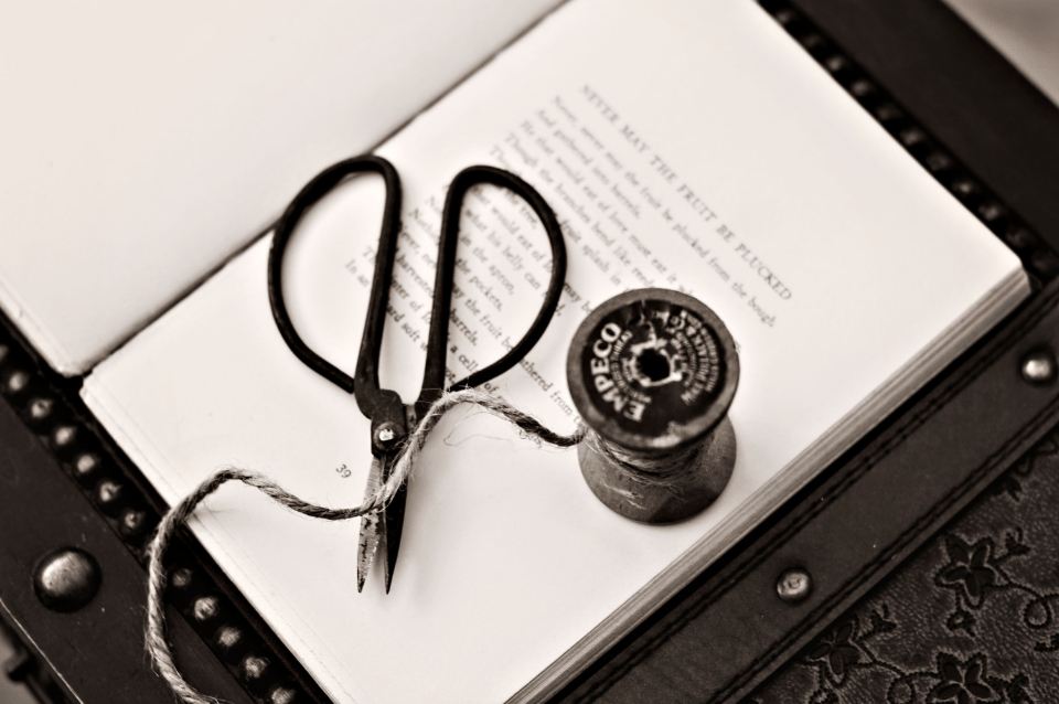 Black tailor's scissors and a spool of thread on an open book