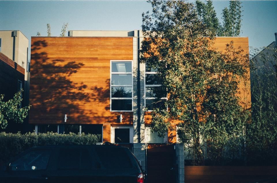 A cedar-clad modern villa among trees in evening light