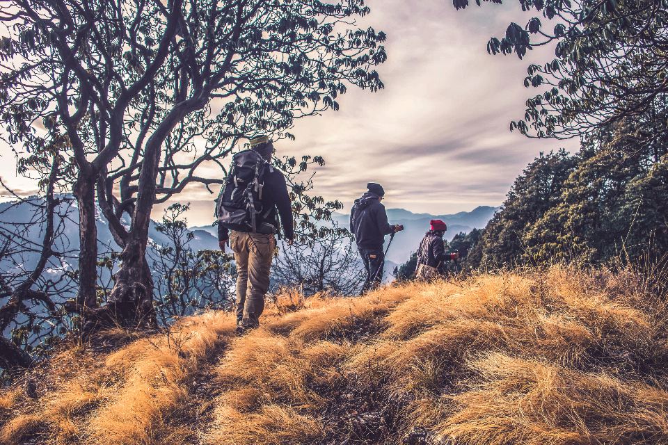 A small group of trekkers with backpacks walking a grassy mountain trail